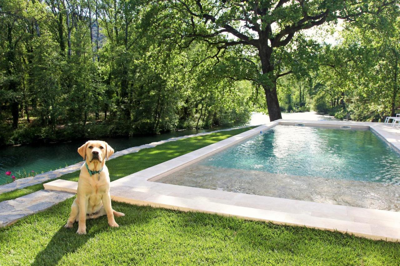 La Magnanerie D'Hotes ,Le Jardin Secret Sauve エクステリア 写真