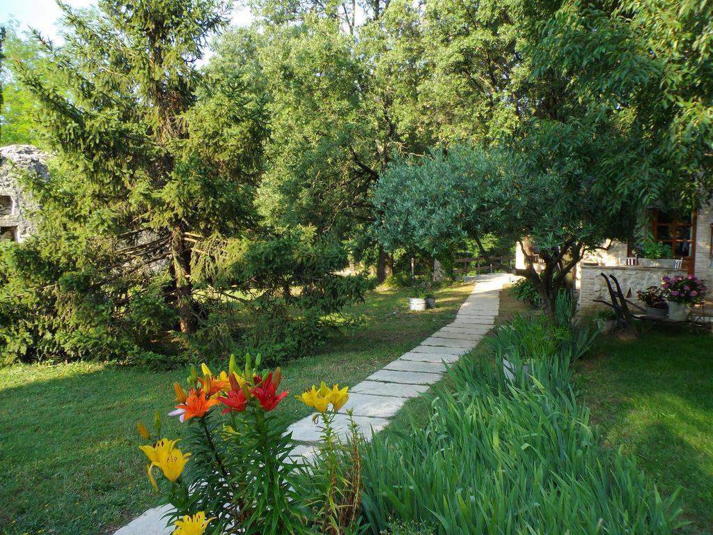 La Magnanerie D'Hotes ,Le Jardin Secret Sauve エクステリア 写真