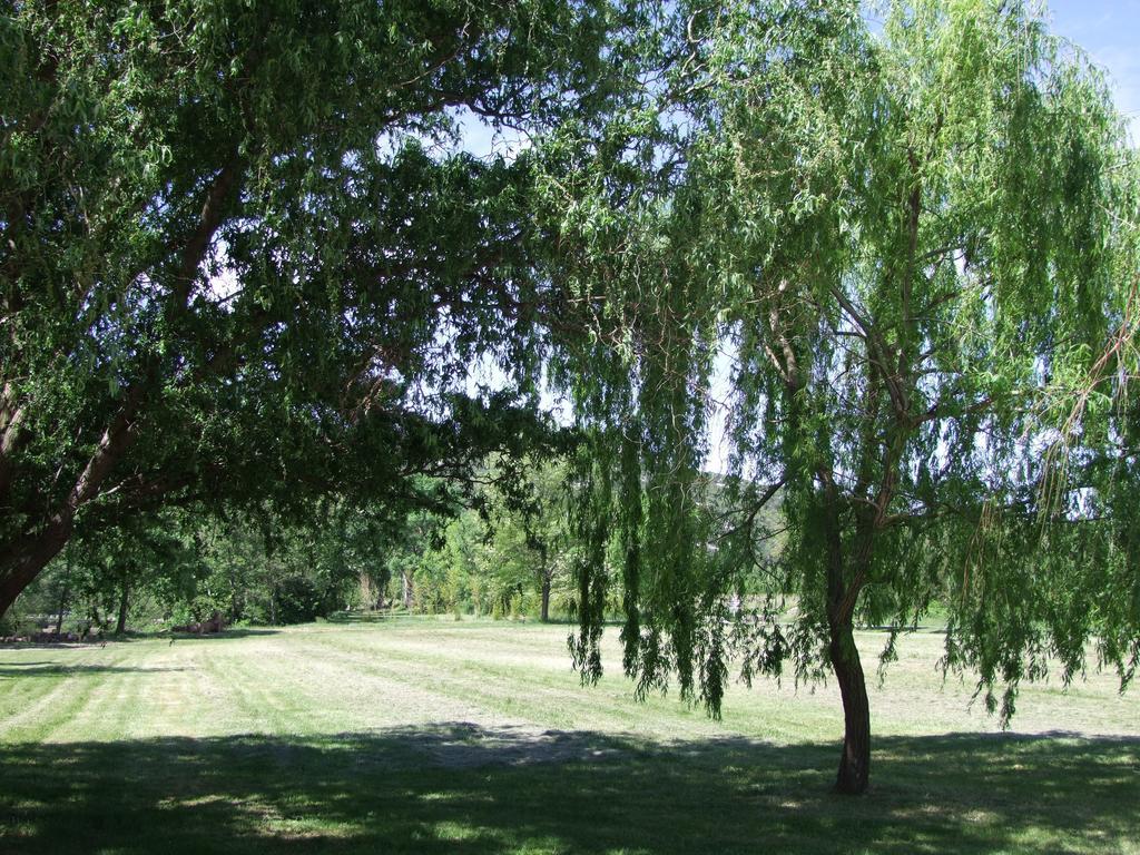 La Magnanerie D'Hotes ,Le Jardin Secret Sauve エクステリア 写真